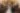 Placeholder blur