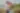 Placeholder blur