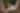 Placeholder blur