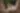 Placeholder blur