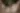 Placeholder blur