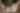 Placeholder blur