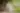 Placeholder blur