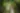 Placeholder blur