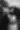 Placeholder blur