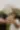 Placeholder blur