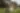 Placeholder blur