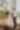 Placeholder blur