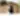 Placeholder blur