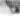Placeholder blur