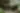 Placeholder blur