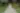 Placeholder blur