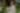 Placeholder blur