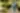 Placeholder blur