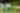 Placeholder blur