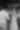 Placeholder blur