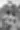 Placeholder blur